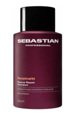 Shampoo Sebastian Penetraitt Nutre Cabello Seco 280 ml